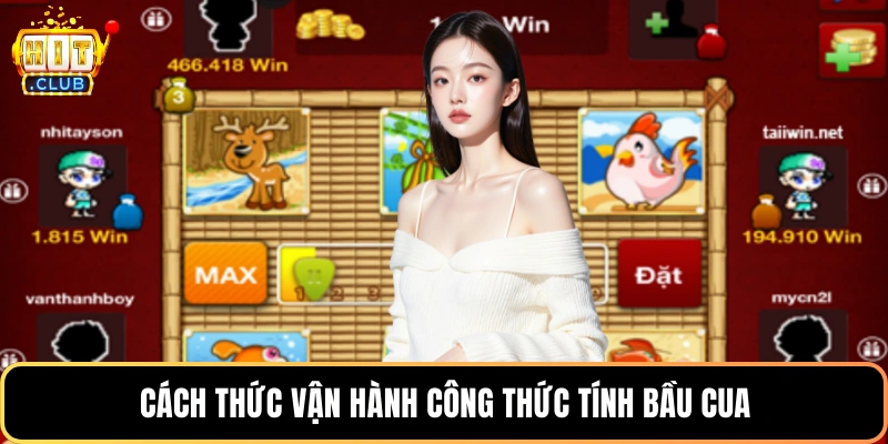 Cách thức vận hành công thức tính bầu cua