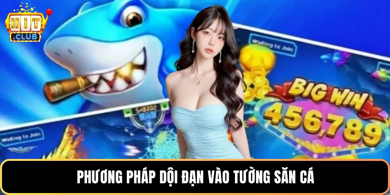 Phương pháp dội đạn vào tường săn cá