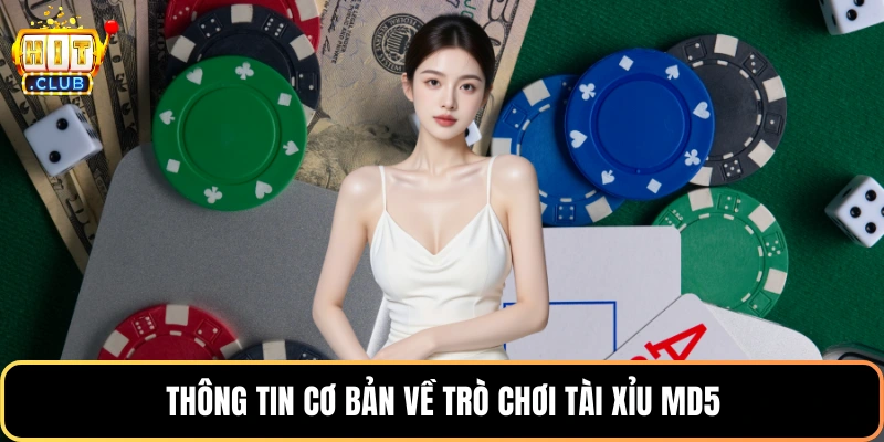 Thông tin cơ bản về trò chơi tài xỉu MD5